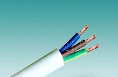 阻燃A級ZARVV 4×10軟線 廣州制造的可靠電源連接解決方案