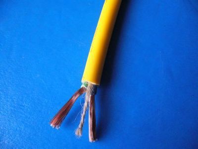 穩定供貨！RVVP防爆插座專用黃電纜/RVV 2X4平方國標電源線廠家直銷解析